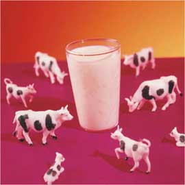 چه زمانی   می توانید به کودکانتان شیر گاو بدهید