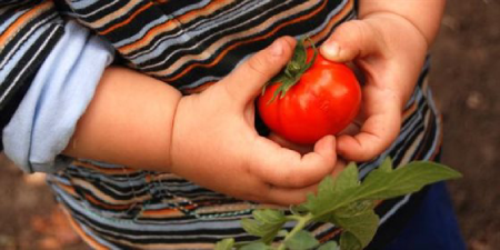 خواص گوجه فرنگی برای کودکان,فواید گوجه برای کودکان