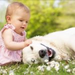 نکاتی برای نگهداری نوزاد و حیوان خانگی در کنار هم