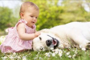 نکاتی برای نگهداری نوزاد و حیوان خانگی در کنار هم
